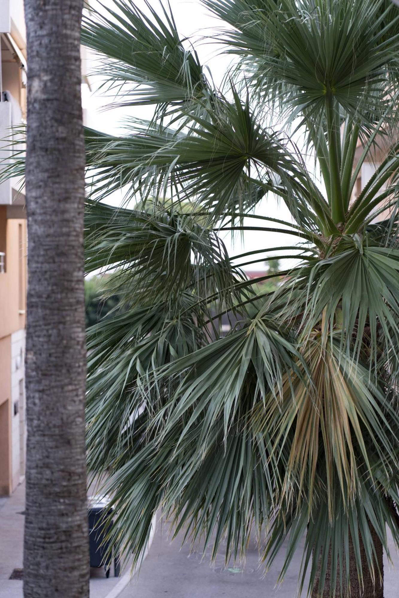 La Petit Maisonette De Manu Cannes Exterior photo
